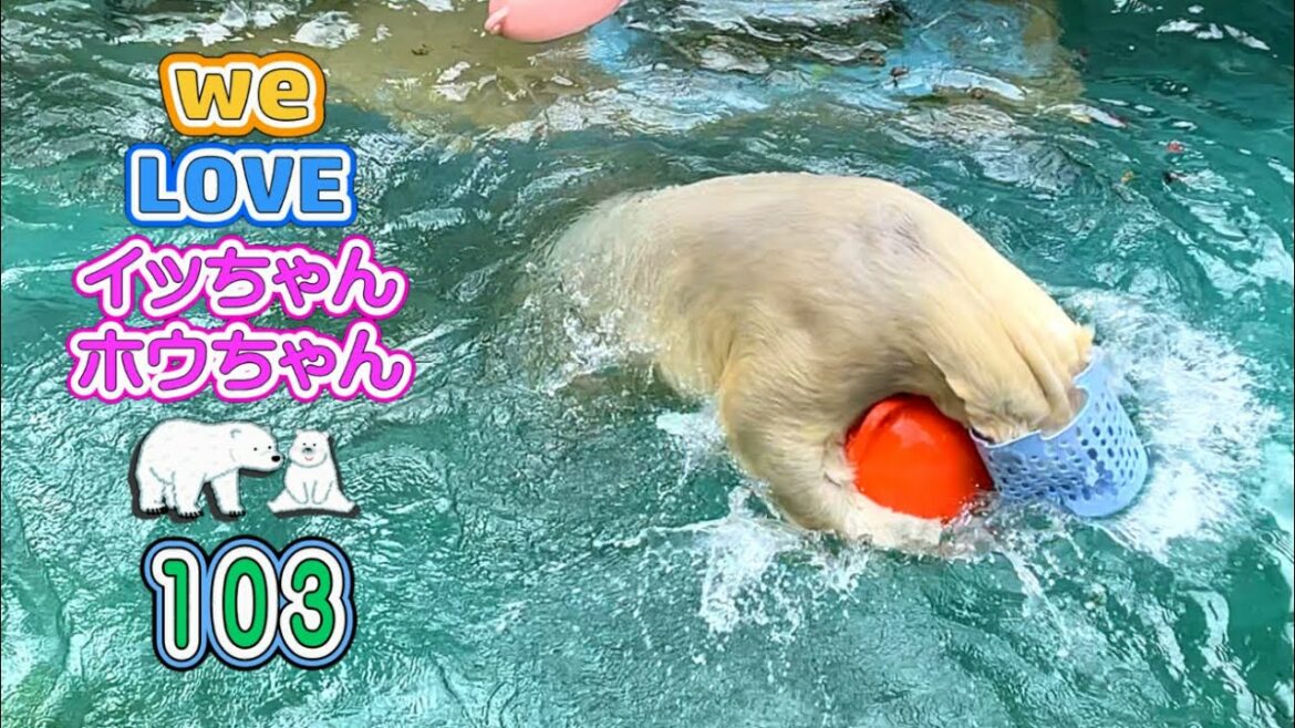 103 東京五輪の新体操で金メダルを取ったイッちゃんの見事な演技です。秘技、前方回転おもちゃ二つ持ちムーンサルト!【イッちゃんホウちゃん】途中、試合会場に乱入者が現れますが気にしないで下さい。