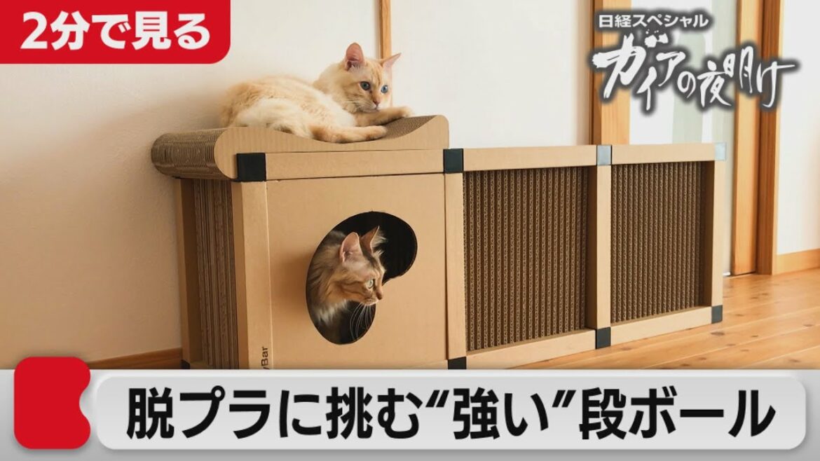 “脱プラ”新たな主役たち!【2分で見るガイアの夜明け】(2021年10月29日OA)