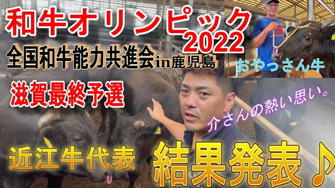 かめこう 速報#和牛オリンピック#鹿児島全共!近江代表決定!結果は!介さん熱い夢は、、