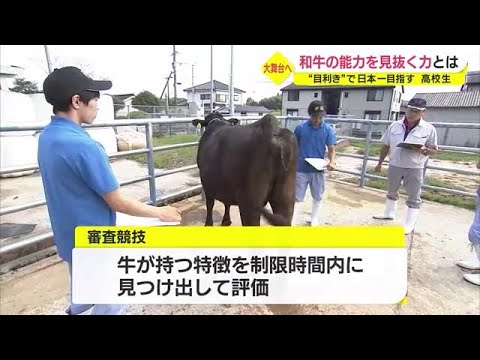 和牛のオリンピック『全国和牛能力共進会』開催間近! 「いい結果を残したい」 目利きの部鹿児島県代表の高校生は畜産農家の後継者(2022.9.29)