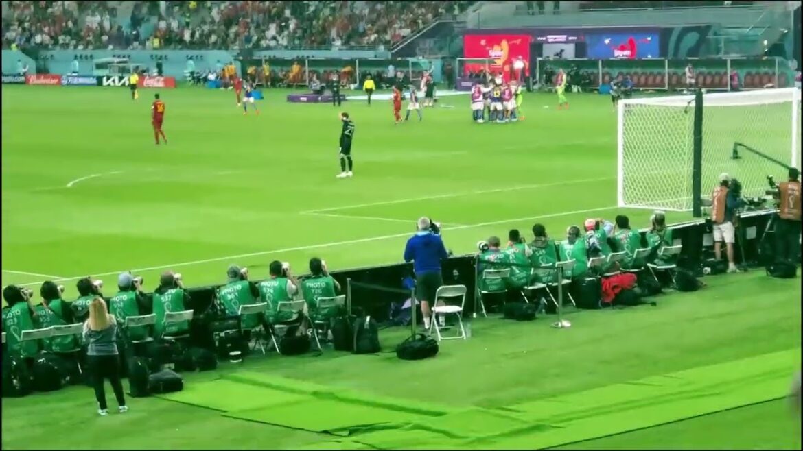 【現地映像】ワールドカップ日本対スペイン 田中碧選手逆転ゴール!!!