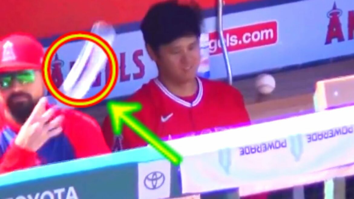 【shoheiotani】ゴミのポイ捨てを大谷の横でやったら大谷が反応して次の瞬間・・こりゃ最高の教育を受けて育ったに違いないわ!!!