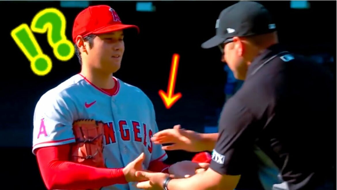 【shoheiotani】大谷翔平が審判に手を見せた次の瞬間・・・海外でも愛されてるって一瞬で分かったわ!!!