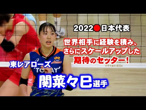 【女子バレー】関菜々巳選手は世界相手に経験を積んだ日本代表期待のセッター【東レアローズ】