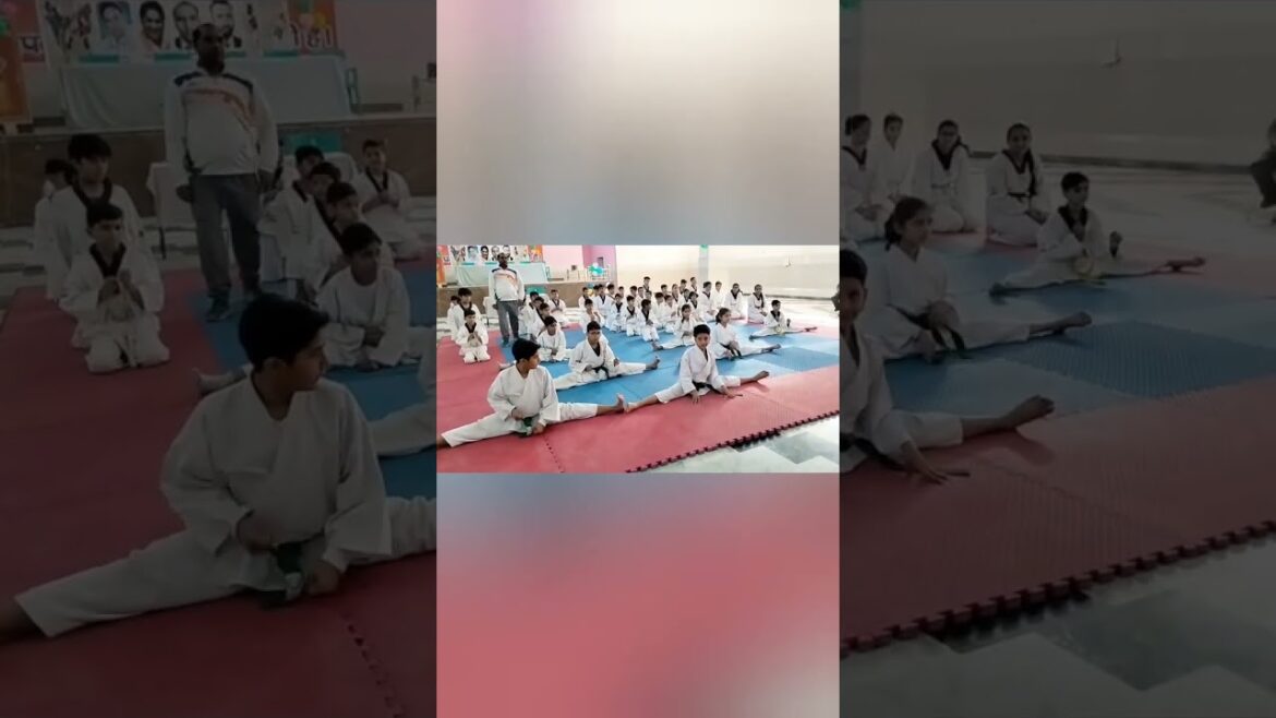 フルレッグスプリット🤟#sachinkarate #shorts #youtubeshorts #martialarts