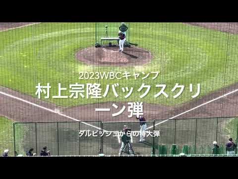 速報!村上宗隆!打撃練習でダルビッシュからバックスクリーンへ【2023.2.21 WBC宮崎キャンプ】#2023WBC宮崎キャンプ#サンマリンスタジアム#村上宗隆#ダルビッシュ有#バックスクリーン