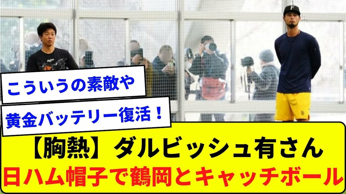 【胸熱】ダルビッシュ有さん 日ハムの帽子を被って鶴岡さんとキャッチボール【なんJ反応】