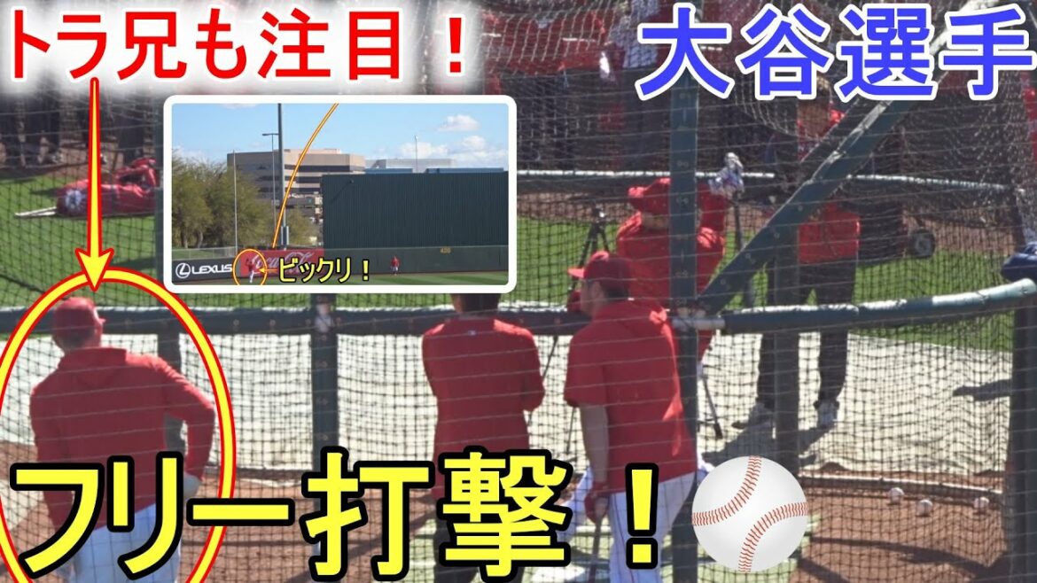 ディアブロスタジアムでフリー打撃!~ショートバージョン~【大谷翔平選手】 Shohei Ohtani 2023 Spring Training Day 9