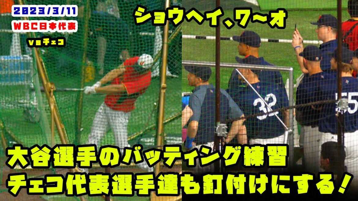 大谷選手のバッティング練習 チェコ代表も釘付けにする! 2023/3/11 侍ジャパンvsチェコ
