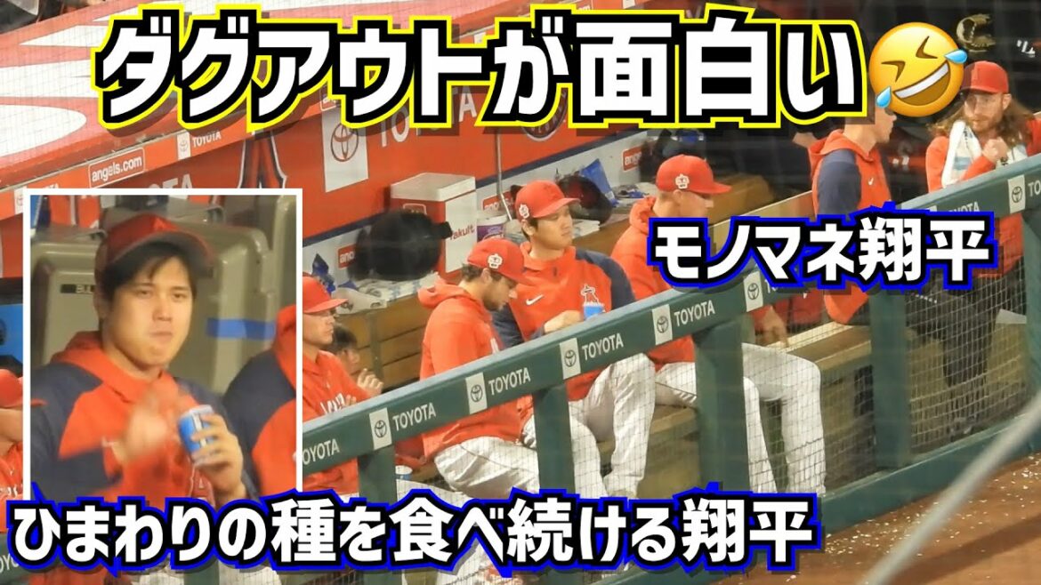大谷翔平エンゼルスのダグアウトが面白い🤣【現地映像】3/27オープン戦vsドジャース ShoheiOhtani Angels