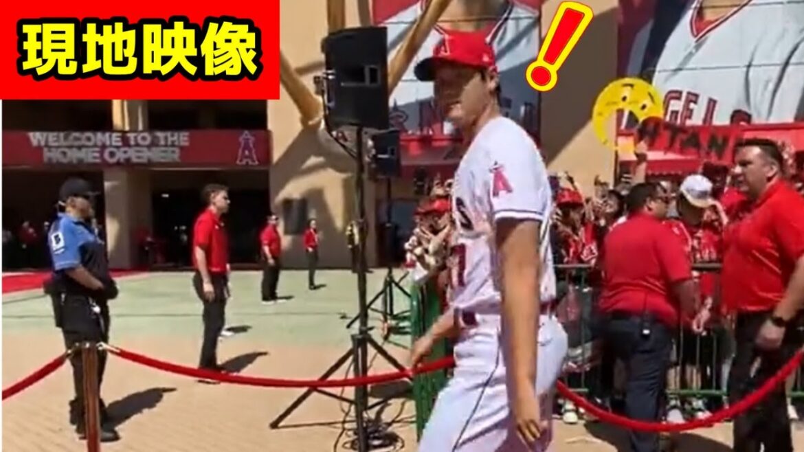 現地の圧倒的な大谷人気!大勢の歓声の中で大谷を呼んだらまさかの・・神対応に感動です!【MLB】