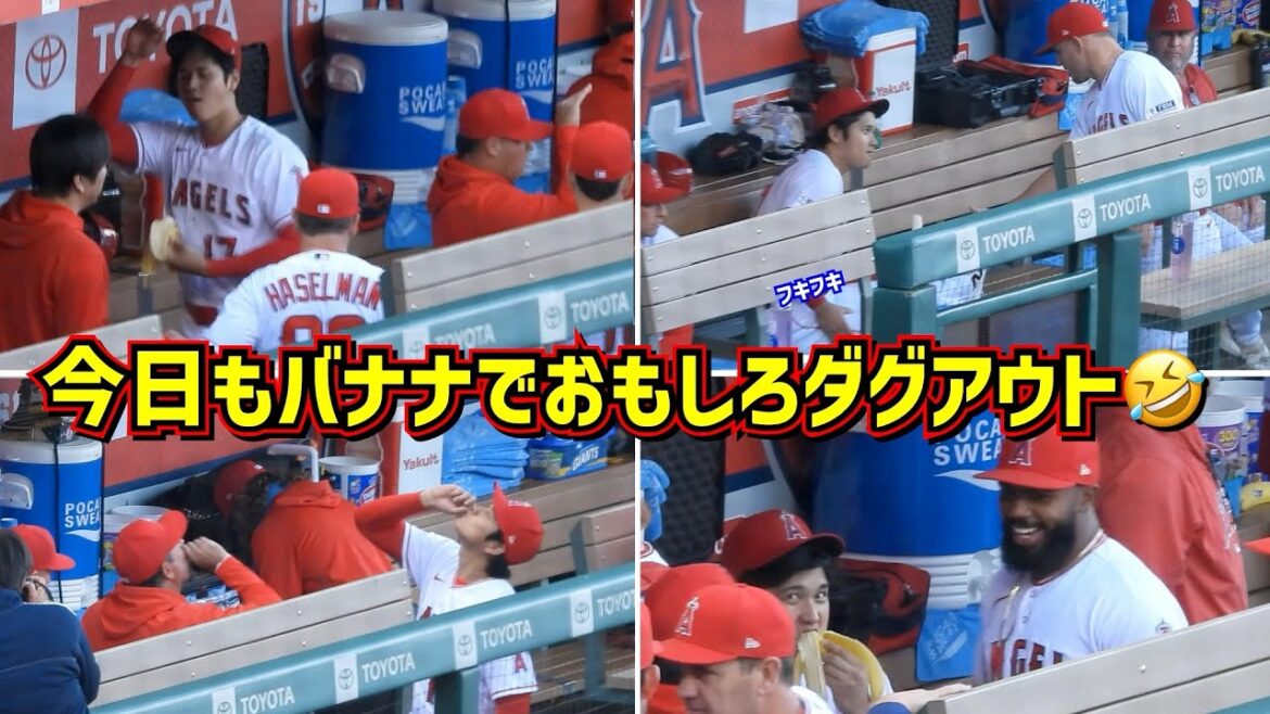 大谷翔平今日もバナナでダグアウトが面白い🤣&トラウトリスペクトが半端ない!【現地映像】ShoheiOhtani Angels