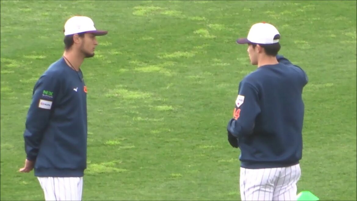 ダルビッシュ有と佐々木朗希 ~侍ジャパン宮崎キャンプ2023~