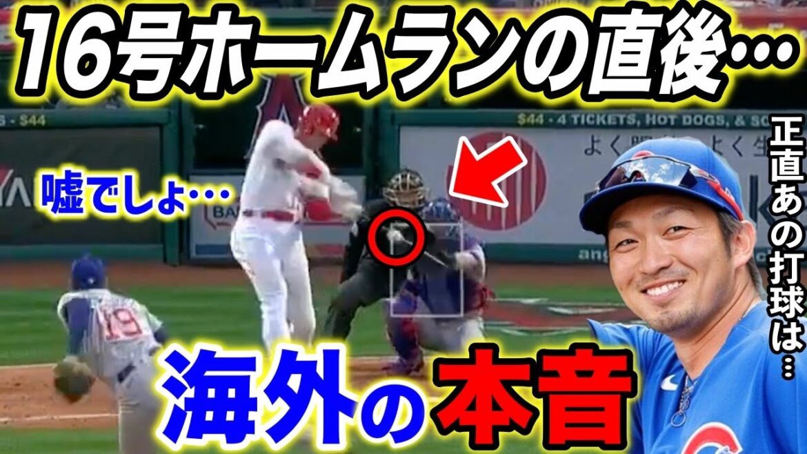 【大谷翔平】目を疑う異色の16号弾に米唖然…ホームラン直後に鈴木誠也と見せた”ある行動”にネット歓喜!白熱するMVP&HR王争いが衝撃の展開に…【海外の反応/MLB】