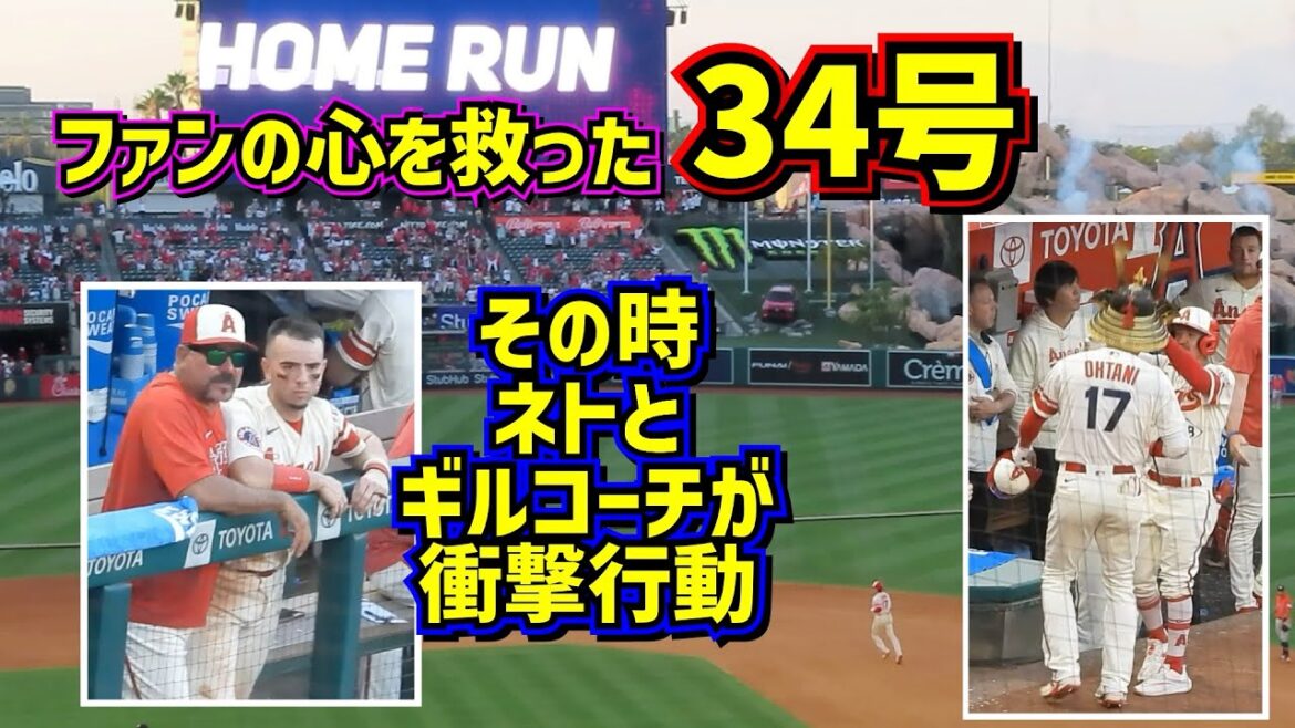 34号‼️ファンの心を救ってくれたHR その時ネトが衝撃の行動に…【現地映像】7/16vsアストロズ ShoheiOhtani Homerun Angels
