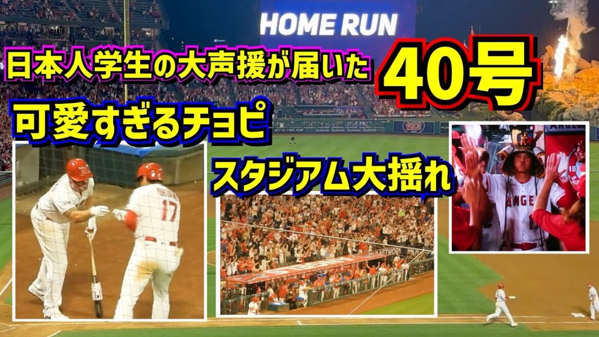40号‼️ 学生達の大歓声が届いた!スタジアム大揺れのホームラン【現地映像】8/3vsマリナーズ ShoheiOhtani Homerun Angels