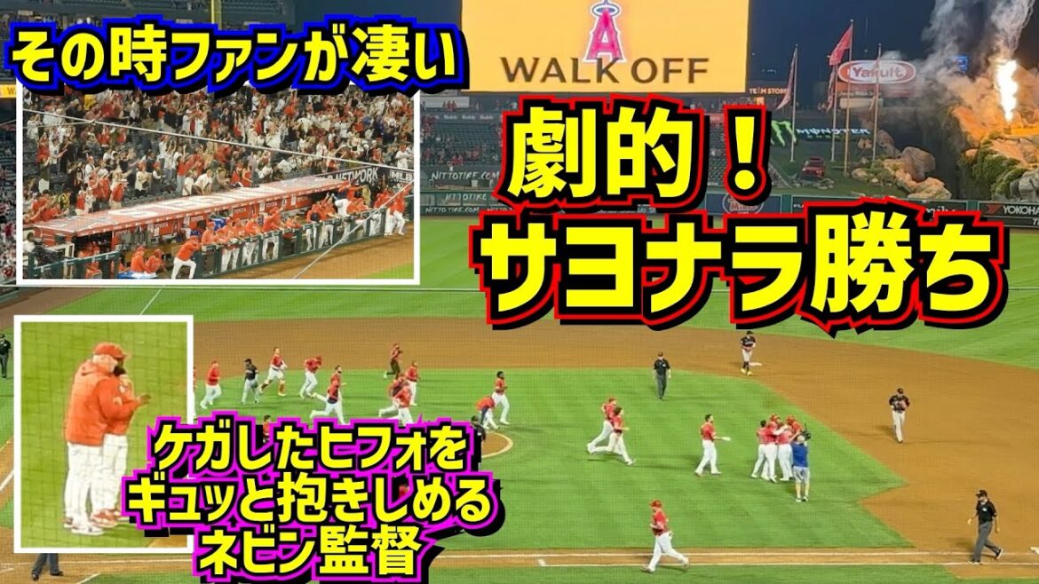 感動‼️エンゼルス劇的サヨナラ勝ち😭レンヒフォ負傷 抱きしめる監督 【現地映像】9/7vsガーディアンズ ShoheiOhtani Angels