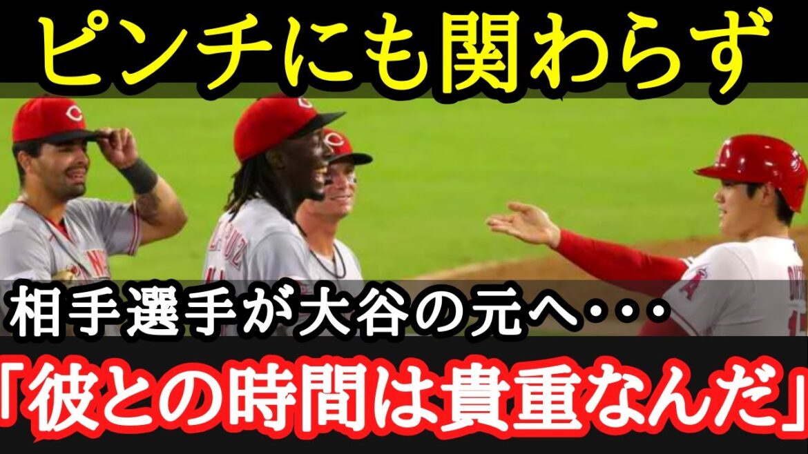 【大谷翔平】人たらしな大谷は試合中にも関わらず敵選手までも虜に!更にその真相が深かった【海外の反応】