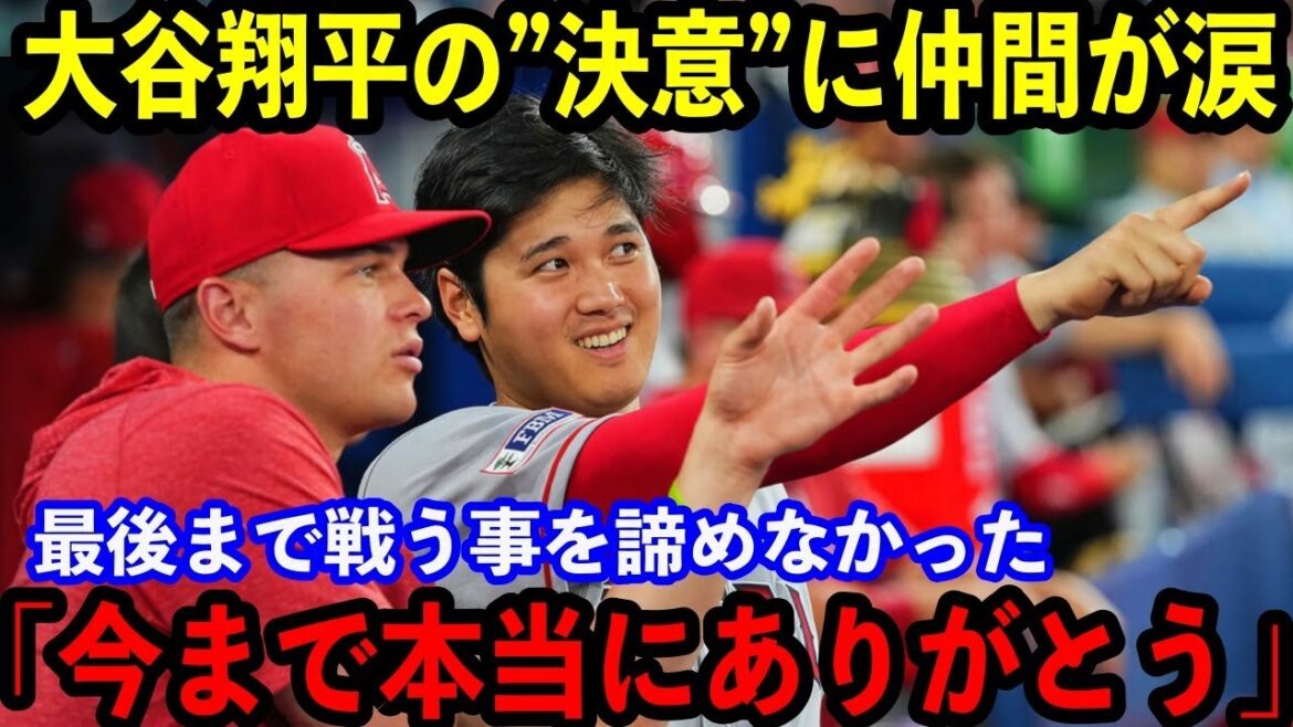 【大谷翔平】伝説の1年に終止符…今季終了を決断した大谷についてエンゼルスの同僚たちが明かした”本音”に米感動…【海外の反応】