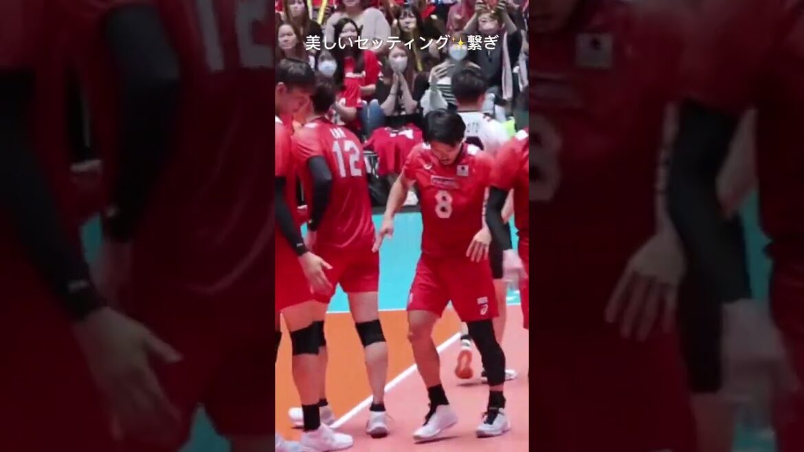 パリ五輪予選🇯🇵🏐美しいトス回し✨ #shorts #japanvolleyball #関田誠大 #髙橋藍 #龍神nippon