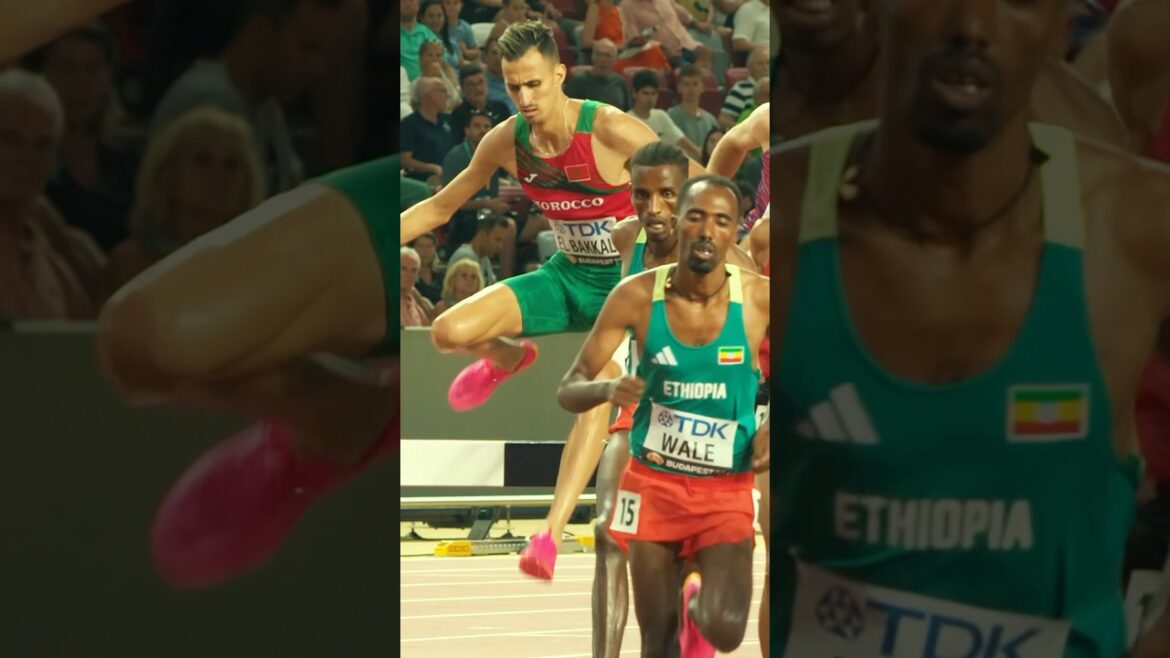 King of the steeplechase 👑 #shorts #athletics #running