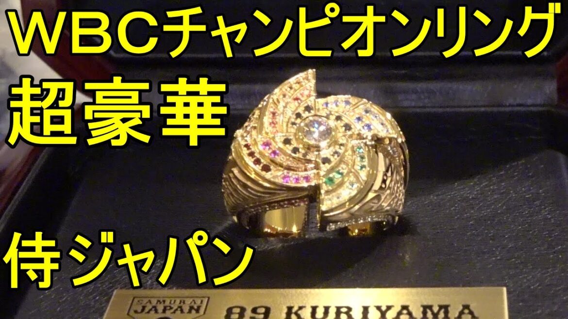 超豪華!栄光のWBCチャンピオンリングを撮影してきました2024.1.3