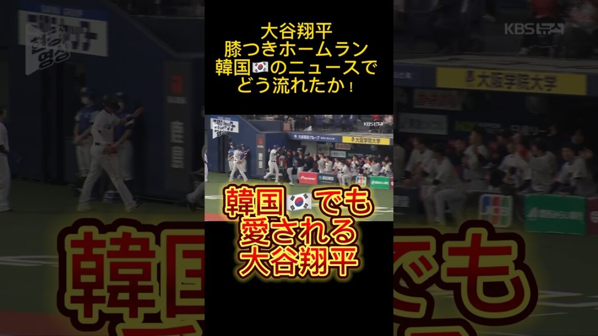 『大谷翔平占い』韓国ニュースにも流れる大谷翔平!韓国人にも愛される大谷翔平❤️韓国のKBSニュースチャンネルより