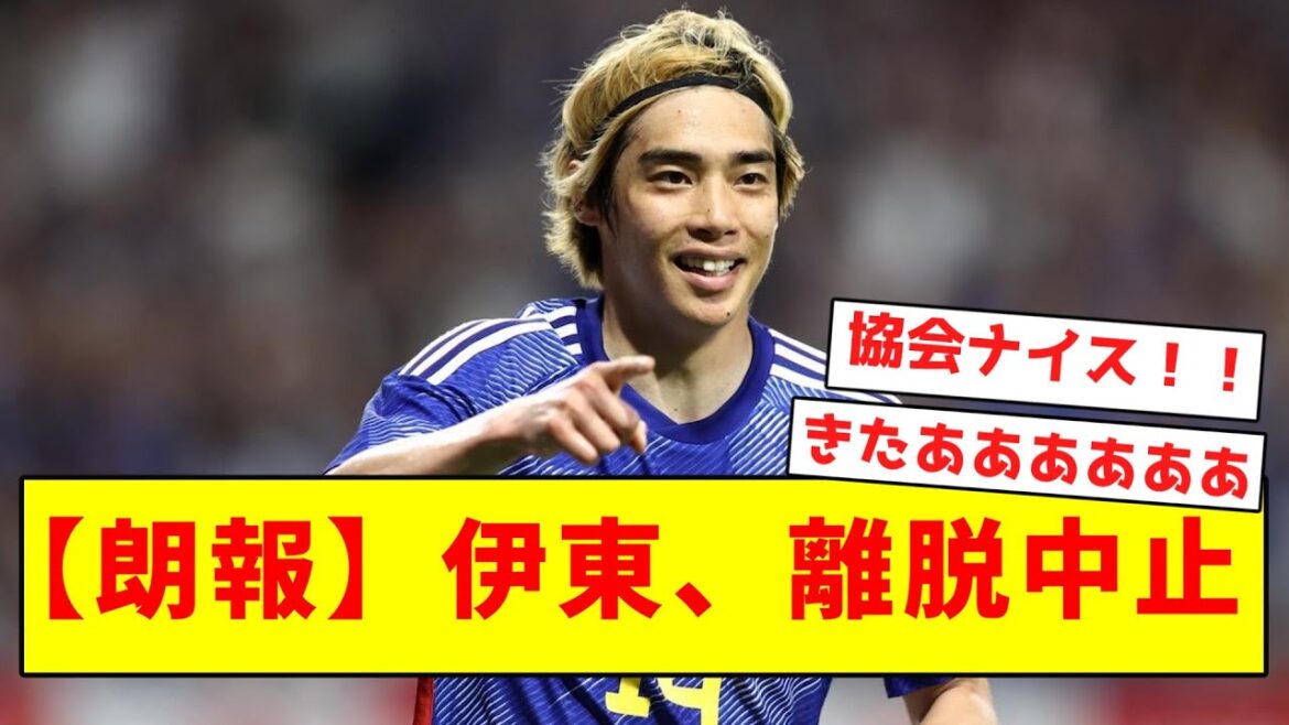 【超朗報】伊東、離脱中止へ!!