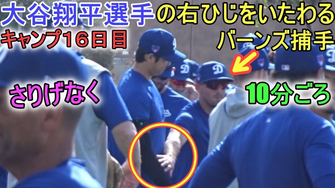 バーンズ捕手が大谷翔平選手の右ひじをさりげなくいたわる【大谷翔平選手】~キャンプ16 日目~Shohei Ohtani 2024 Warm Up Spring Training Day 16