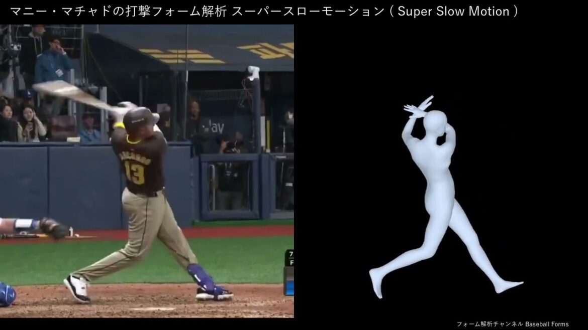 マニー・マチャドの打撃フォーム解析 スローモーション 2024年 ホームラン 【横から】
