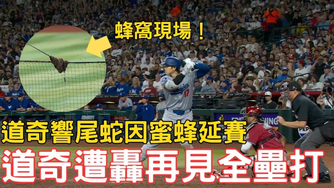 0501最新道奇戰報!太狠了蜜蜂!大谷一安,道奇慘遭逆轉兩分砲