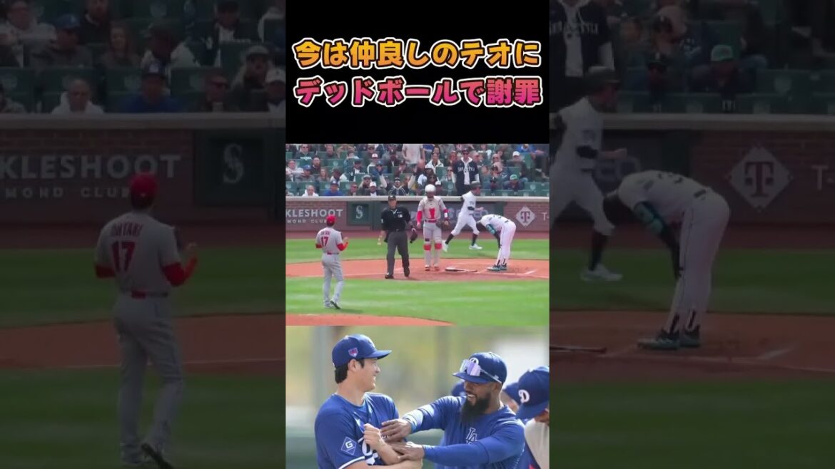 テオに死球で謝罪する大谷翔平がいい人すぎる #大谷翔平 #MLB