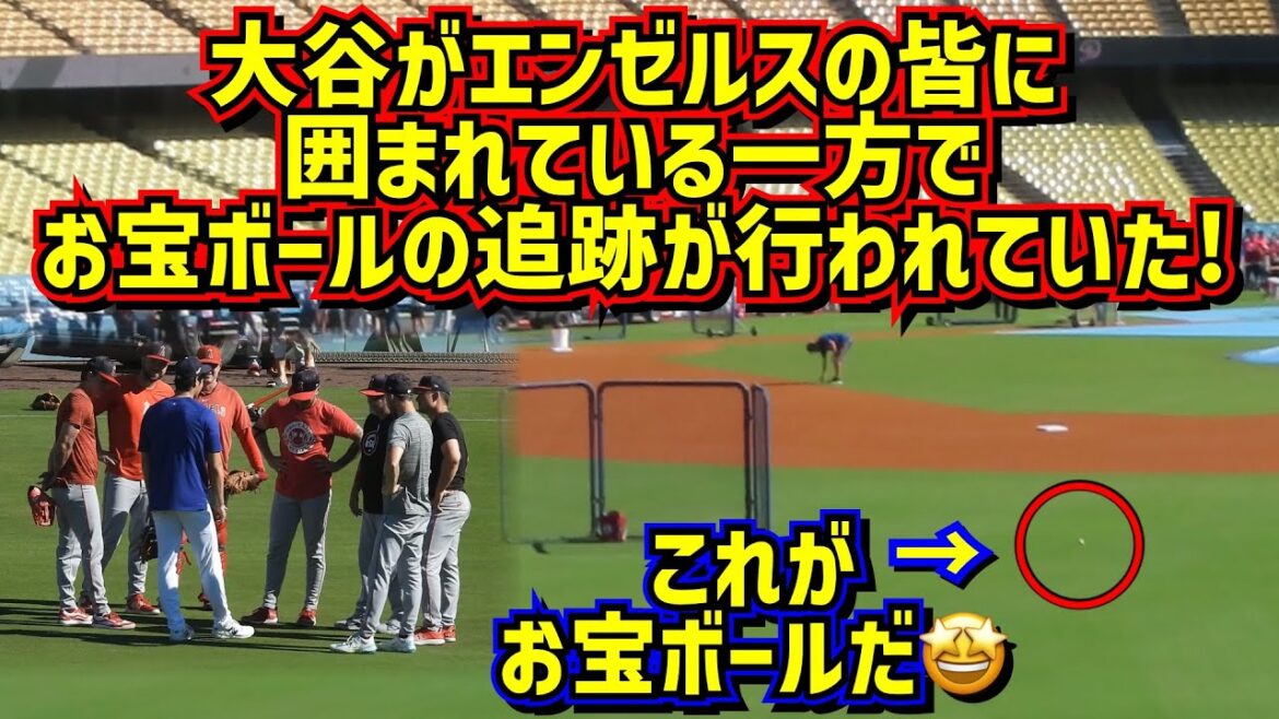 番外編‼️大谷のお宝ボールを追え⚾️エンゼルスの皆と交流中に繰り広げられていた追跡劇があった😆 【現地映像】FWシリーズShoheiOhtani Dodgers