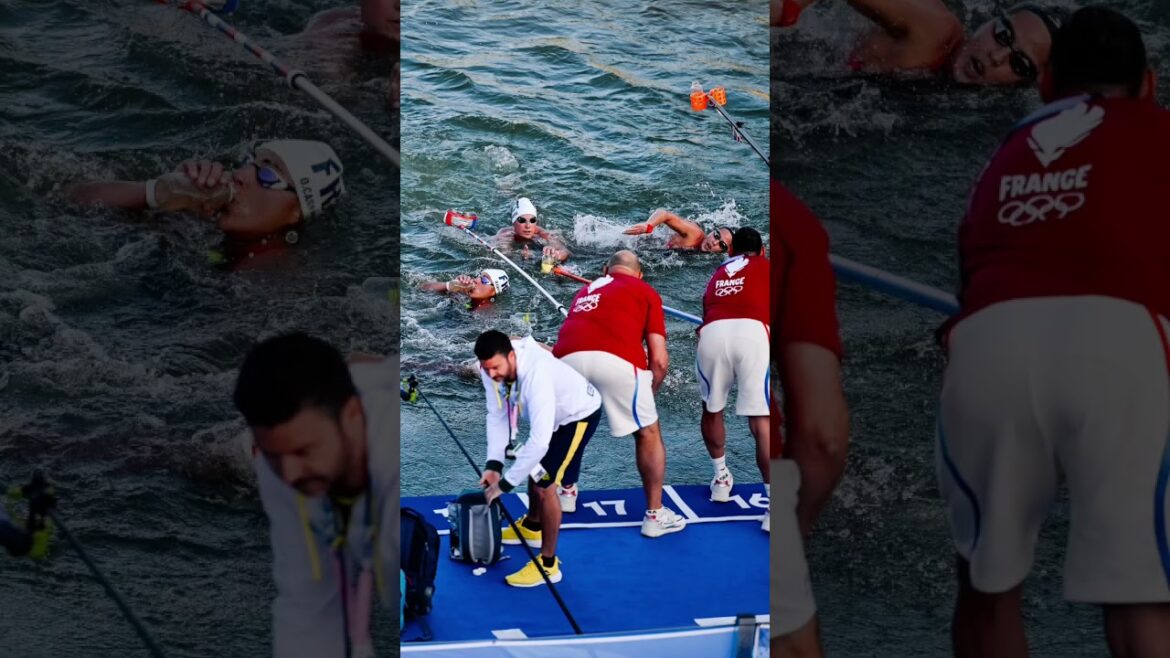 マラソンスイミング