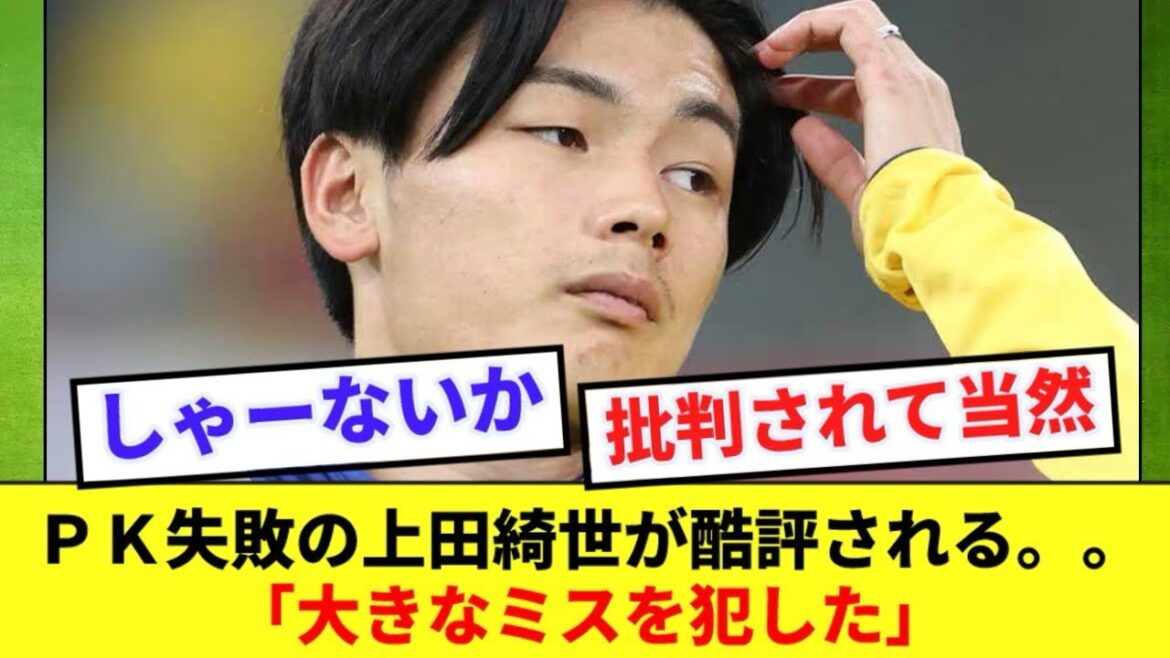 【悲報】上田綺世さん、オランダの超有名OBから批判されてしまう…