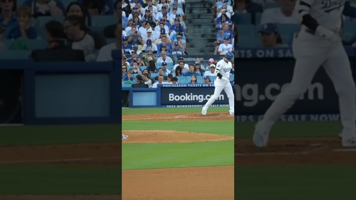 ダルビッシュ投手の球が大谷翔平選手のバットを折る⚾️😨 #おすすめ #大谷翔平#ダルビッシュ有 #ドジャース#foryou #shoheiohtani #yudarvish #dodgers