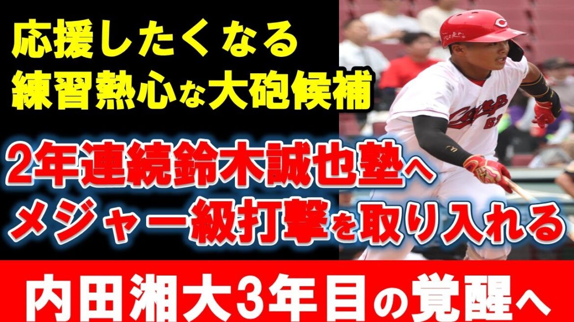 【カープ】内田が2年連続鈴木誠也と自主トレで覚醒へ!2年目もポジティブな成績満載!今後の課題や期待は?【広島東洋カープ】