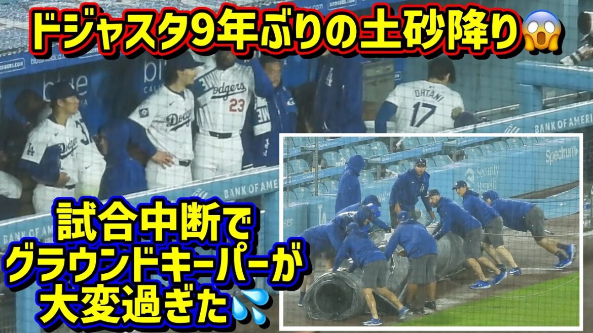 大奮闘‼️9年ぶりの試合中断で雨の日のグラウンドキーパーさんが凄い👏裏方さんシリーズ 【現地映像】ShoheiOhtani Dodgers