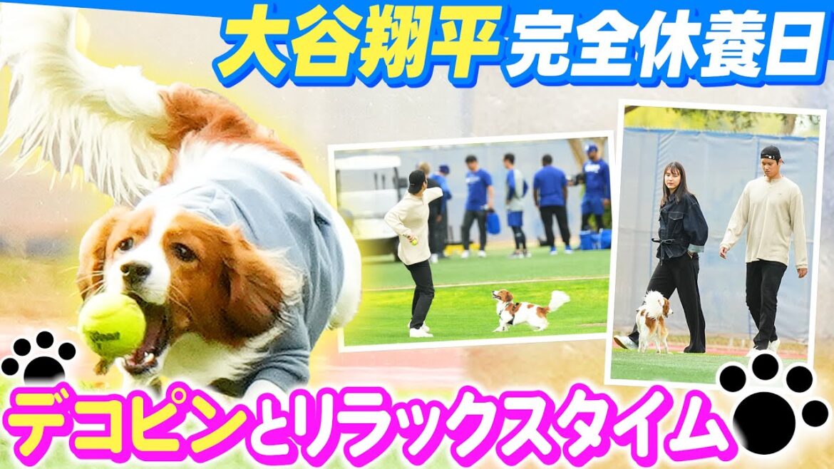 【真美子夫人と共に】大谷翔平がデコピンとキャンプ地に登場!リラックスタイムを満喫