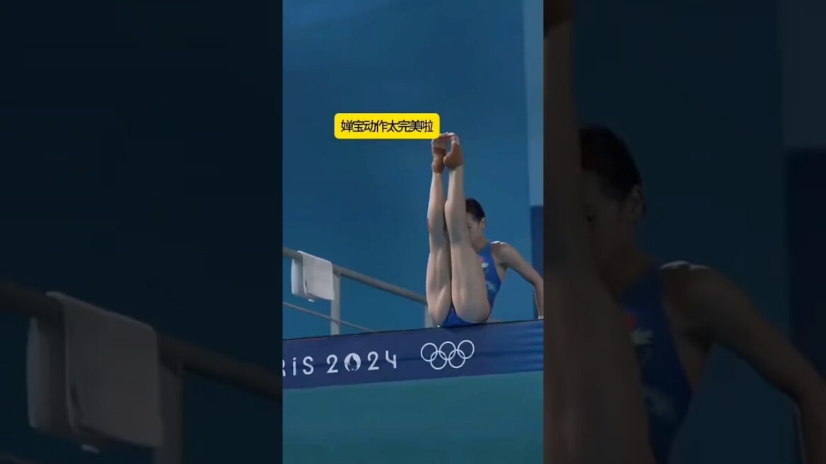 全紅嬋#全紅嬋#跳水運動員全紅嬋#你永遠可以相信國家隊的眼光#世界冠軍#每個動作都是用汗水換來的