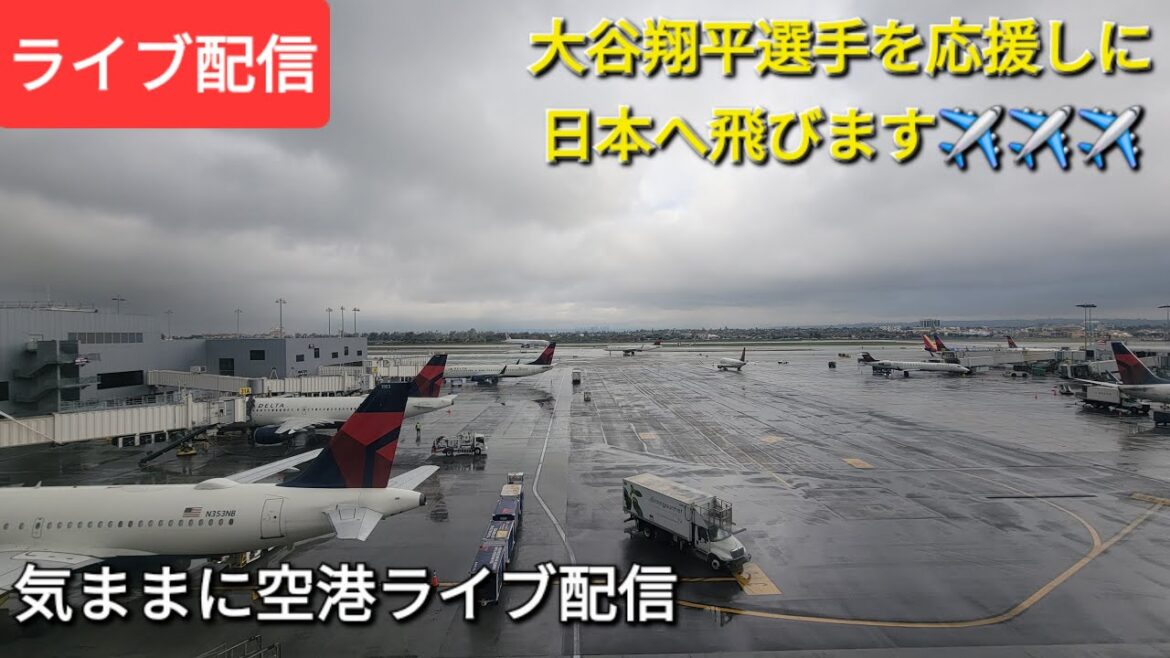 【ライブ配信】大谷翔平選手を応援しに日本へ飛びます✈️✈️✈️ファンの皆さんと楽しく😆気ままに空港ライブ💫Shinsuke Handyman がライブ配信中!