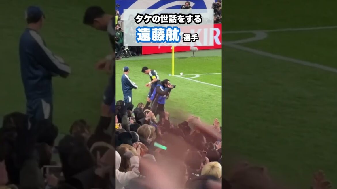 どんな時も遠藤航がキャプテンすぎる。 #shorts #football #サッカー #日本代表 #サッカー日本代表