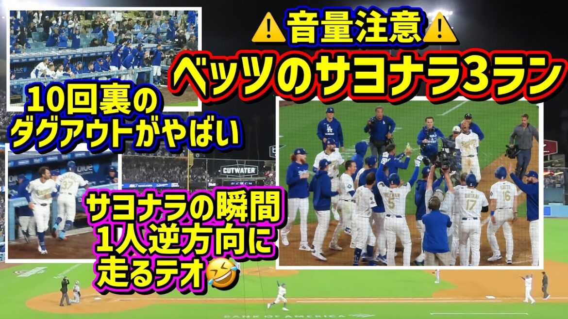 ⚠️音量注意⚠️ベッツでさよなら勝ち‼️延長戦のダグアウトがヤバイ😆テオが走る💨 【現地映像】3/28vsタイガースShoheiOhtani