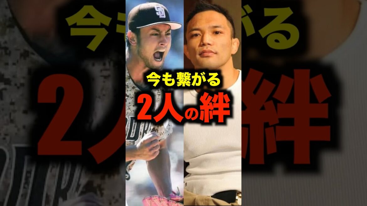 今も繋がり続けるダルビッシュ有と山本KID徳郁の感動秘話#shorts #ufc
