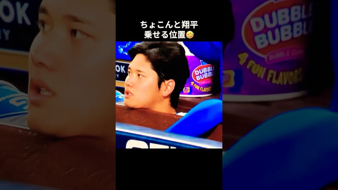 ちょこんと翔平😋 #大谷翔平 #mlb #shorts #dodgers #ドジャース #野球 #ohtani #baseball