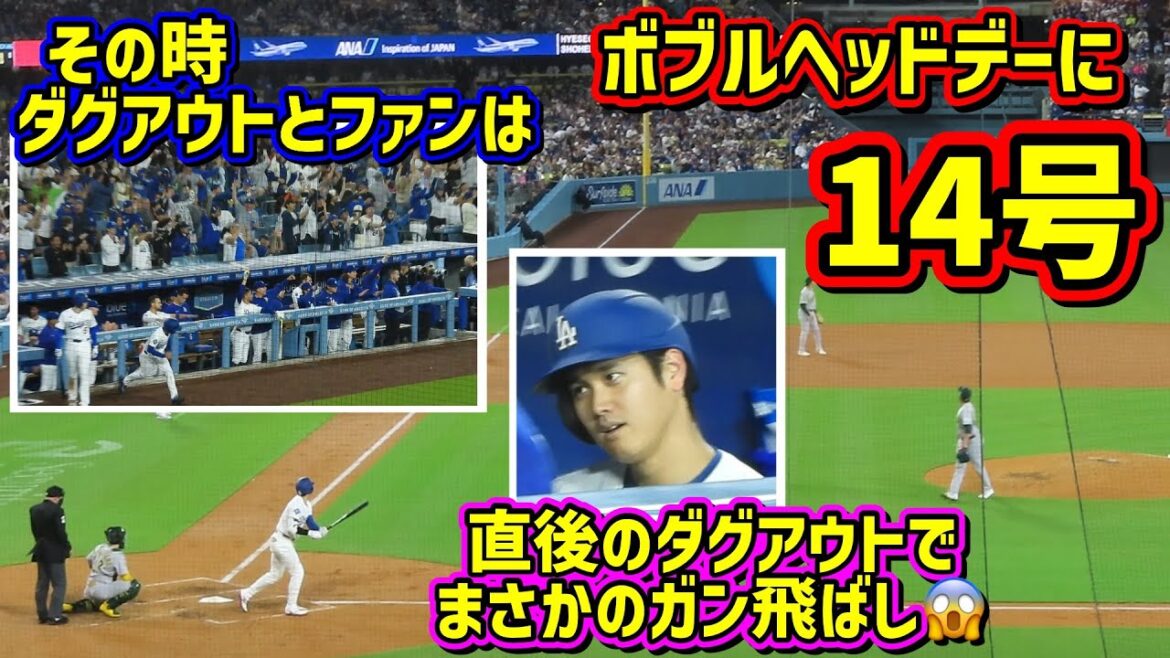 14号‼️大谷ボブルヘッドデーにやっぱり打った😆直後のダグアウトが面白い🤣【現地映像】5/15vsアスレチックスShoheiOhtani Homerun