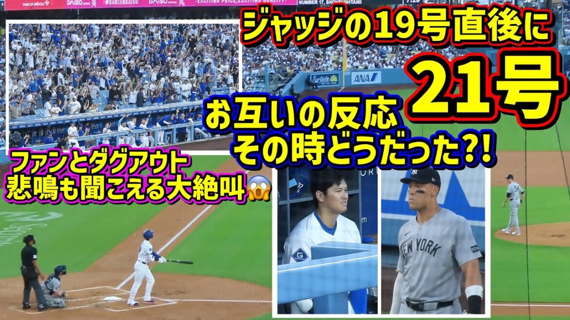 史上初‼️21号HRはジャッジのHR直後でファンの悲鳴がヤバイ😱その時大谷とジャッジは…【現地映像】5/30vsヤンキース ShoheiOhtani Homerun