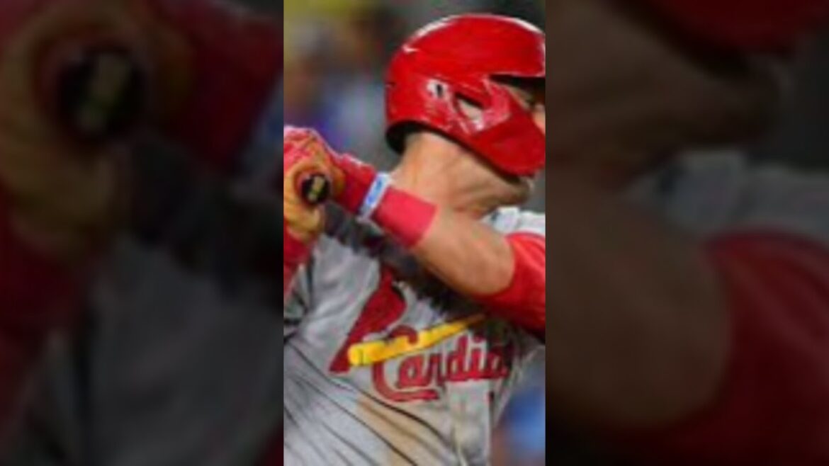 #鈴木誠也 #セイヤスズキ #カブス #MLB2025 #日本人メジャーリーガー #メジャーリーグ #MLBハイライト #2本塁打 #ホームラン王争い #野球ファンと繋がりたい #139打点ペ #野球