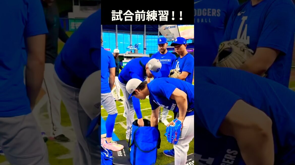 ドジャースの試合前練習‼️⚾️ #大谷翔平 #mlb #shorts #dodgers #ドジャース #野球 #ohtani #baseball