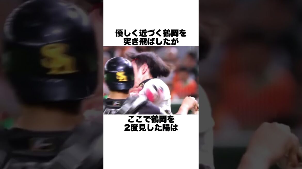 「ダルビッシュのスライダーと素行を制御」鶴岡慎也についての雑学#野球#野球雑学#北海道日本ハムファイターズ